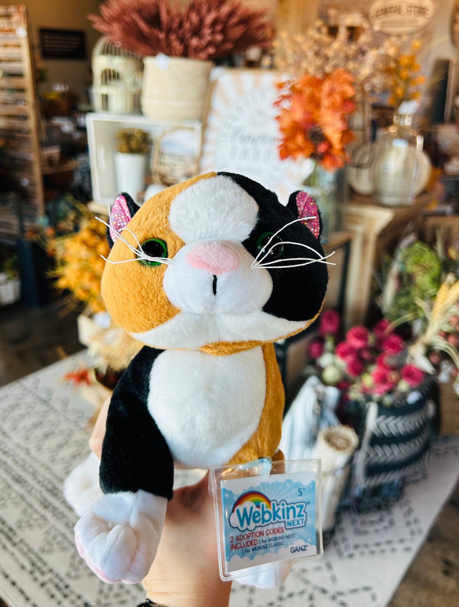 Webkinz