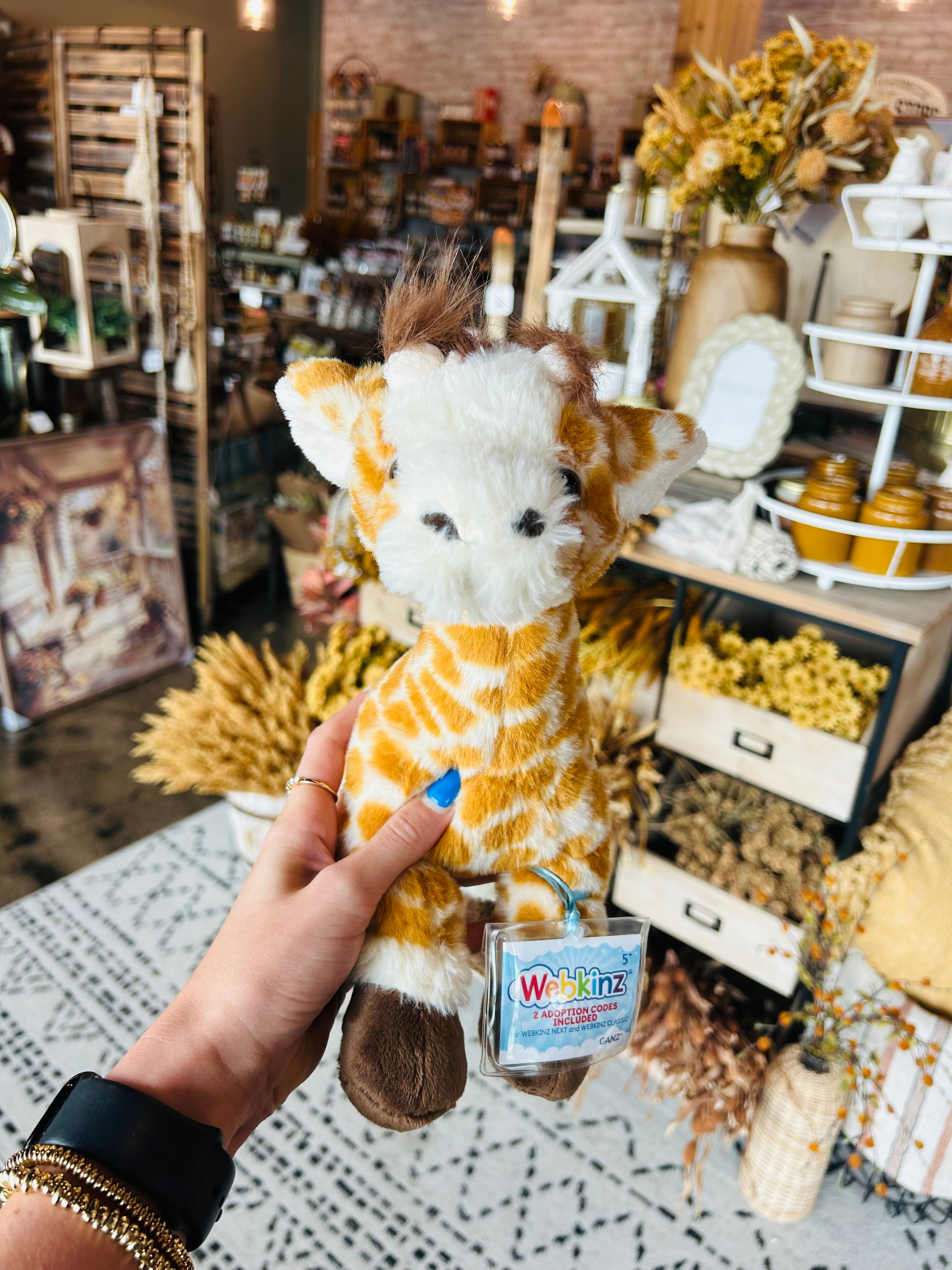Webkinz