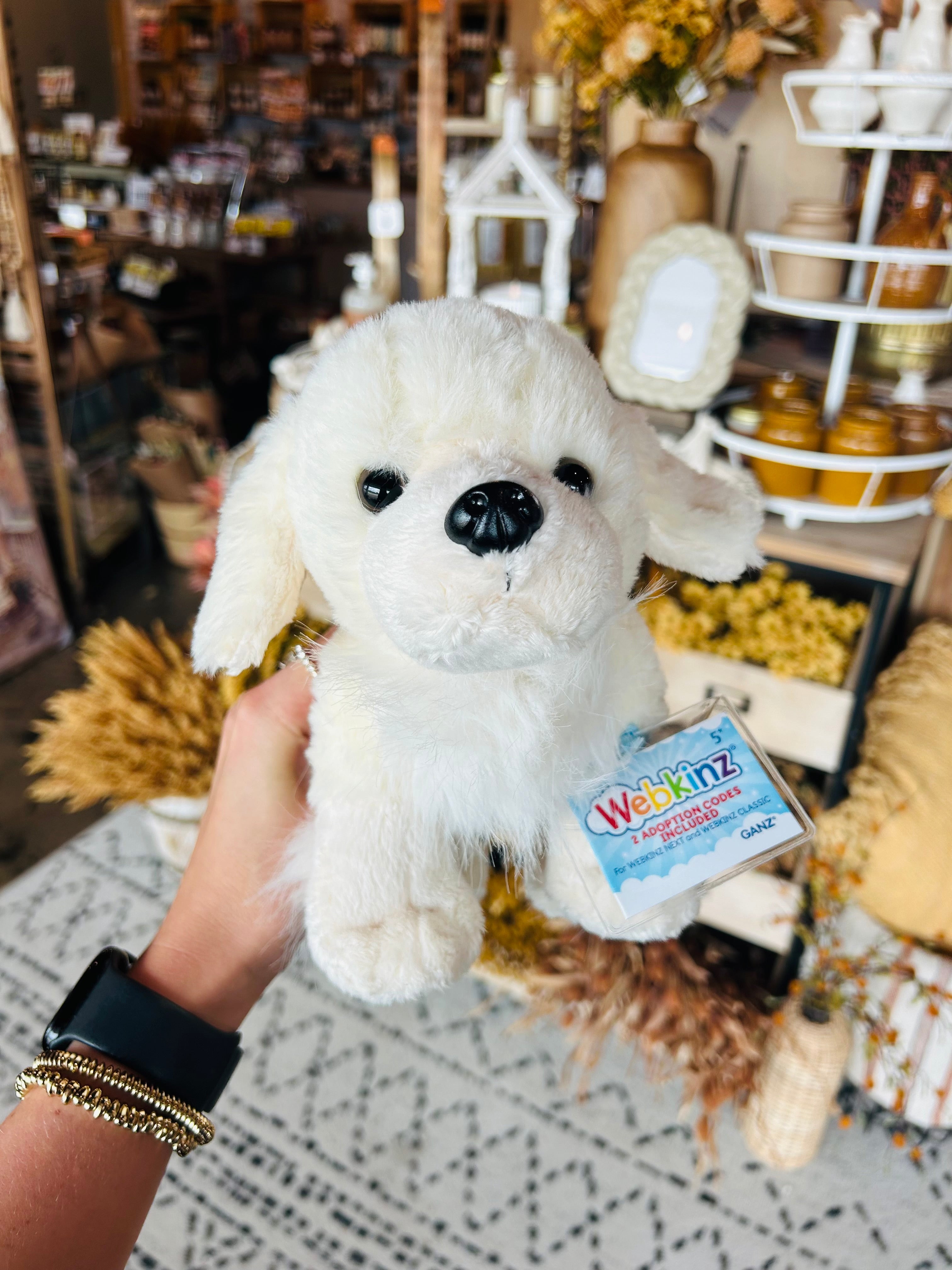 Webkinz