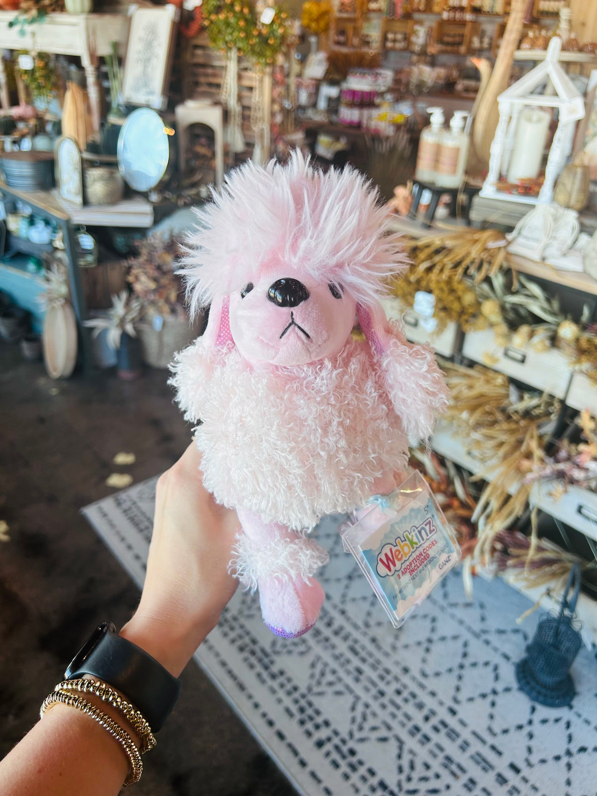 Webkinz