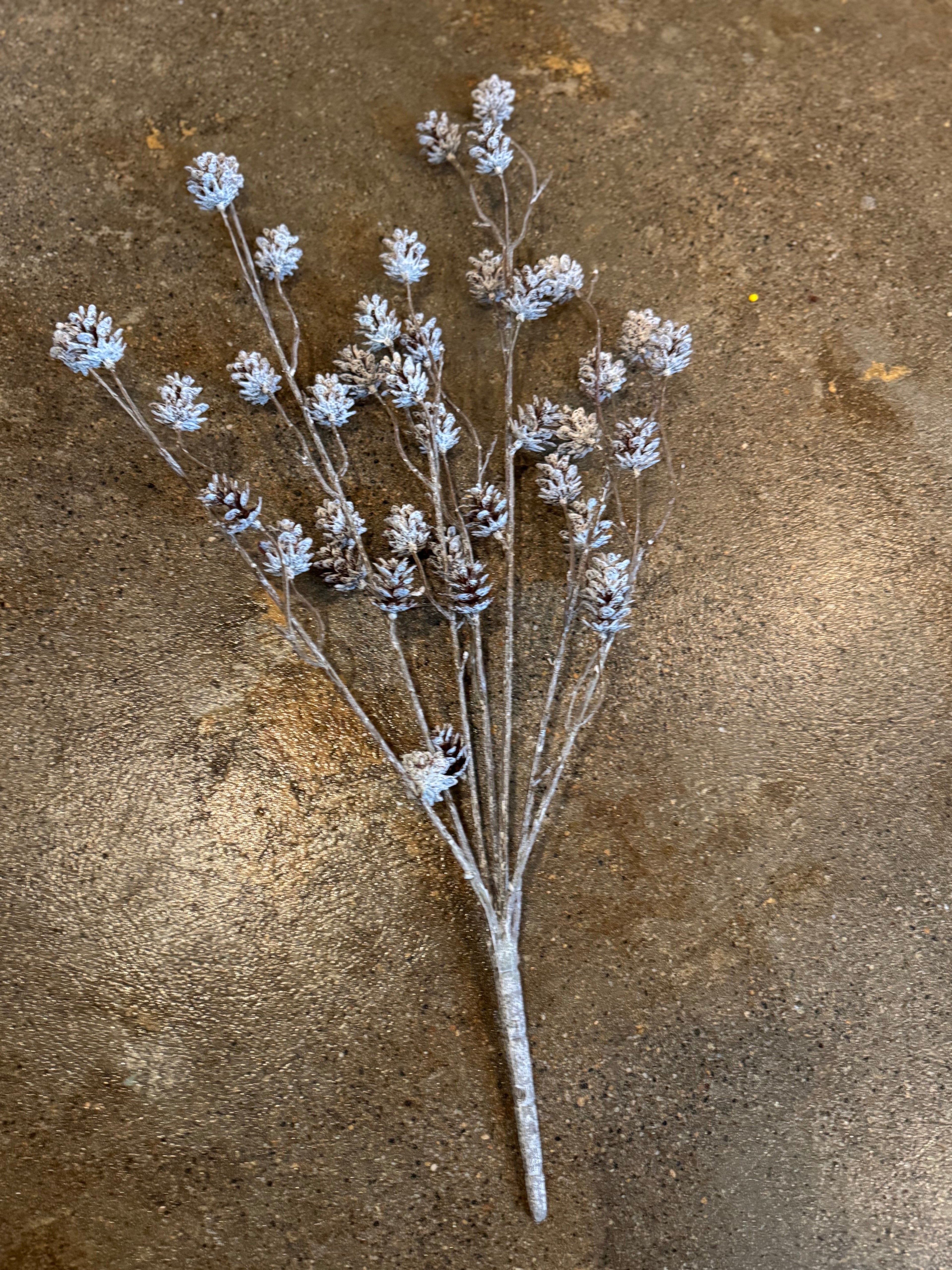 White Washed Pinecone Bush