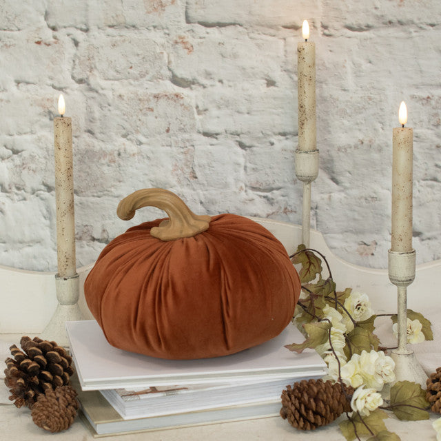 Twisted Stem Pumpkin