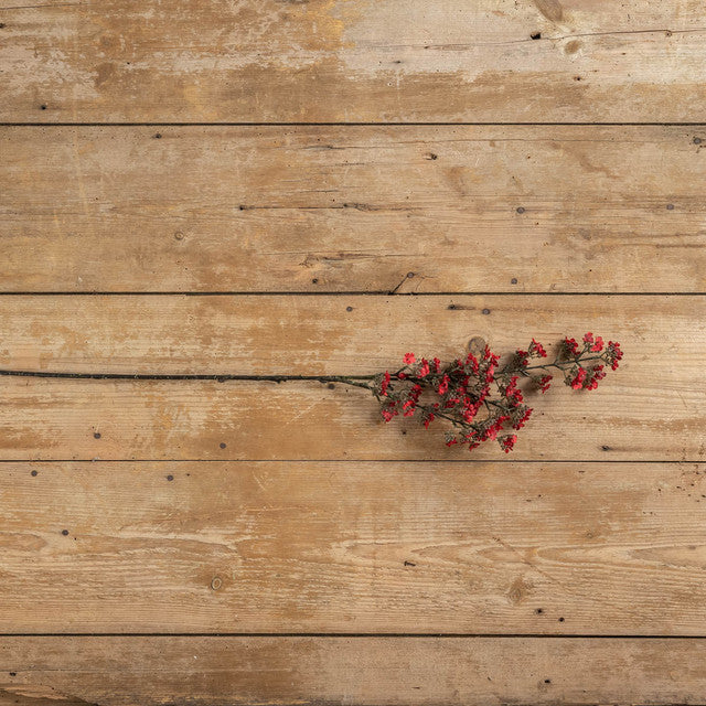 Red Flowering Stem