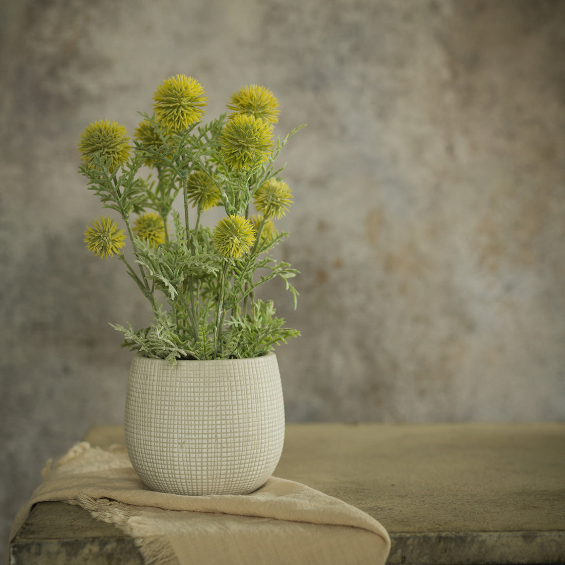 Yellow Onion Spray in Pot