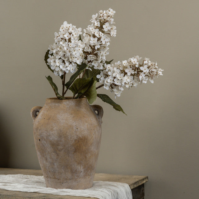 White Lilac Stem