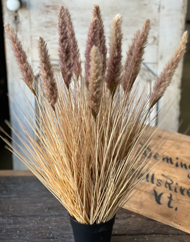 Catty Cattails Pot