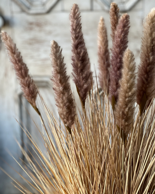 Catty Cattails Pot