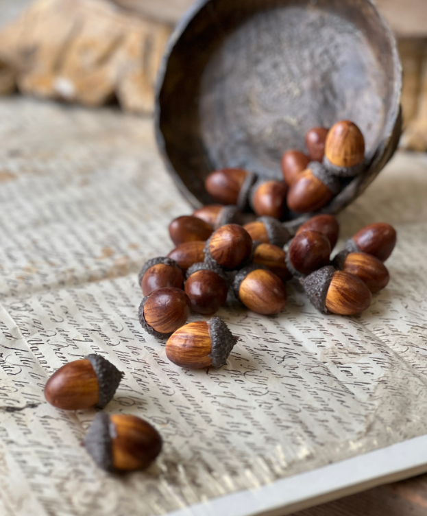 Oakwood Acorns