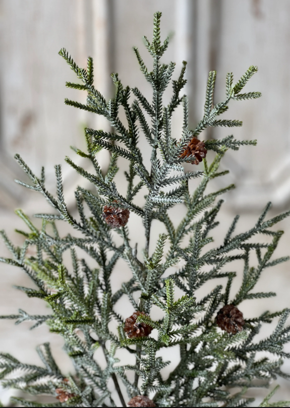 Wind Chill Juniper Spray