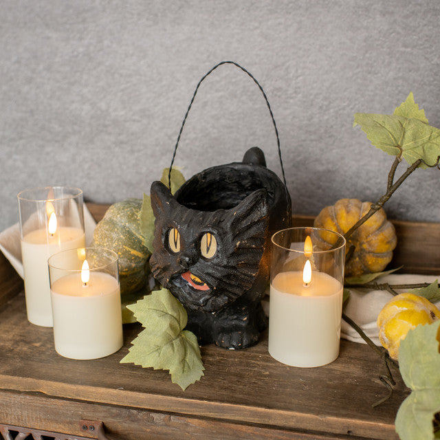 Black Vintage Cat