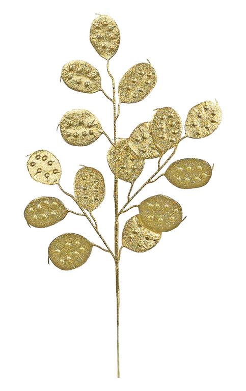 Lunaria Spray