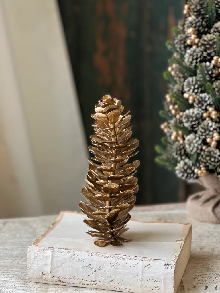 Epaulette Pinecone
