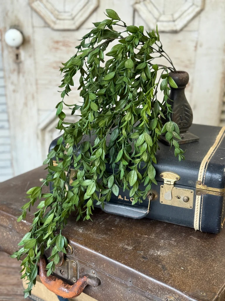 Nottswood Leaves Hanging