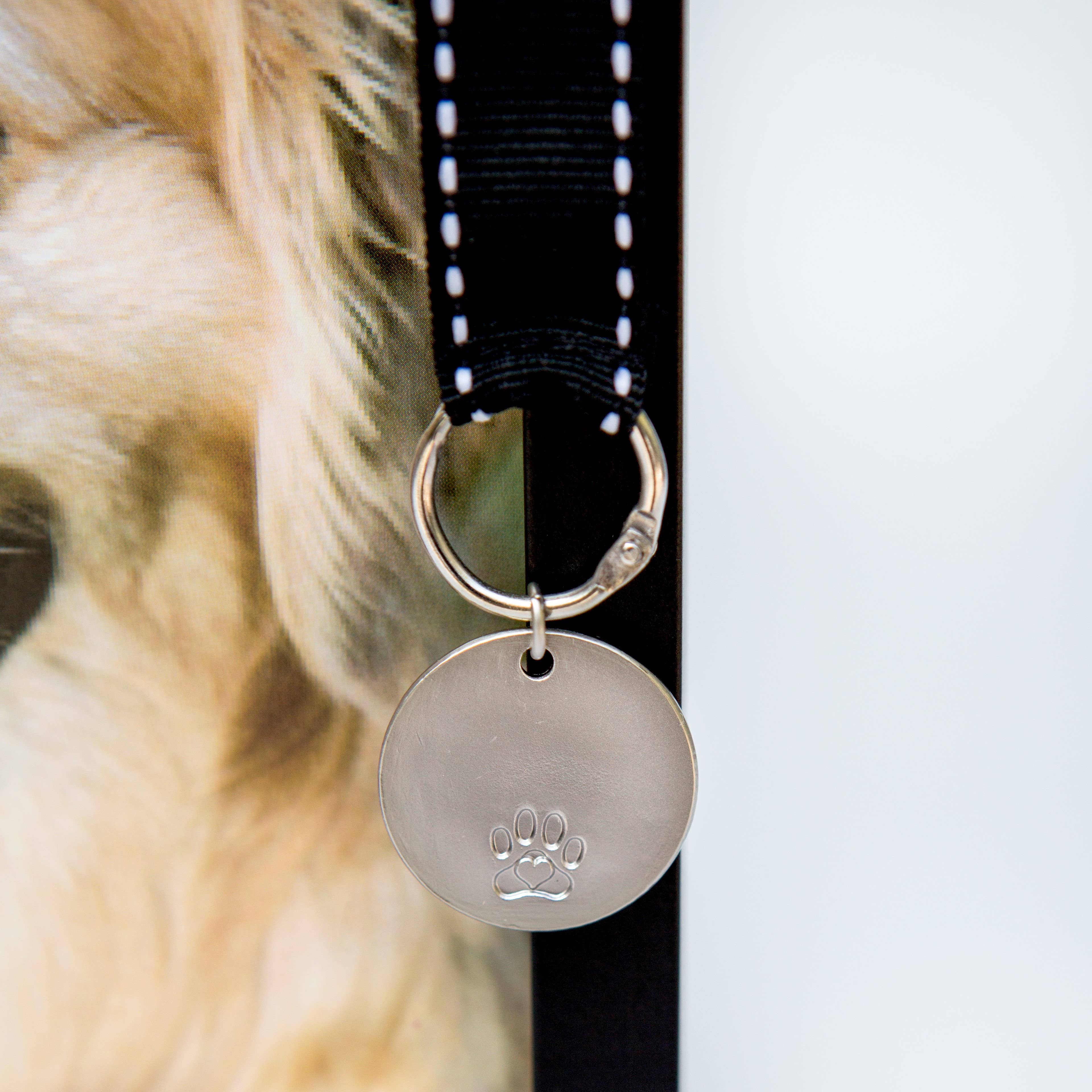 Pawprints Left By You Pet Memorial Frame for Dog 6070