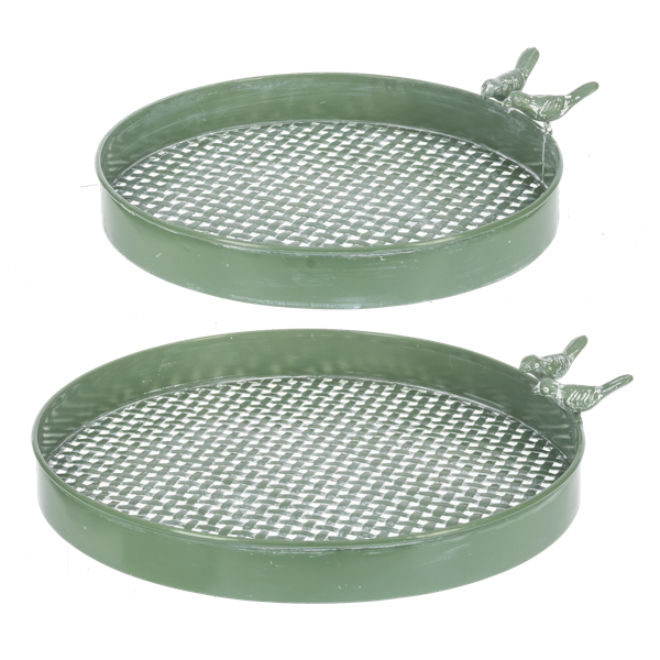 Bird Tray