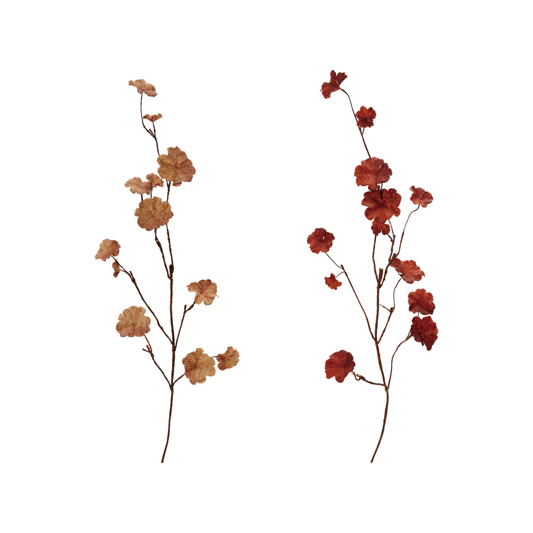 Leaf Branch