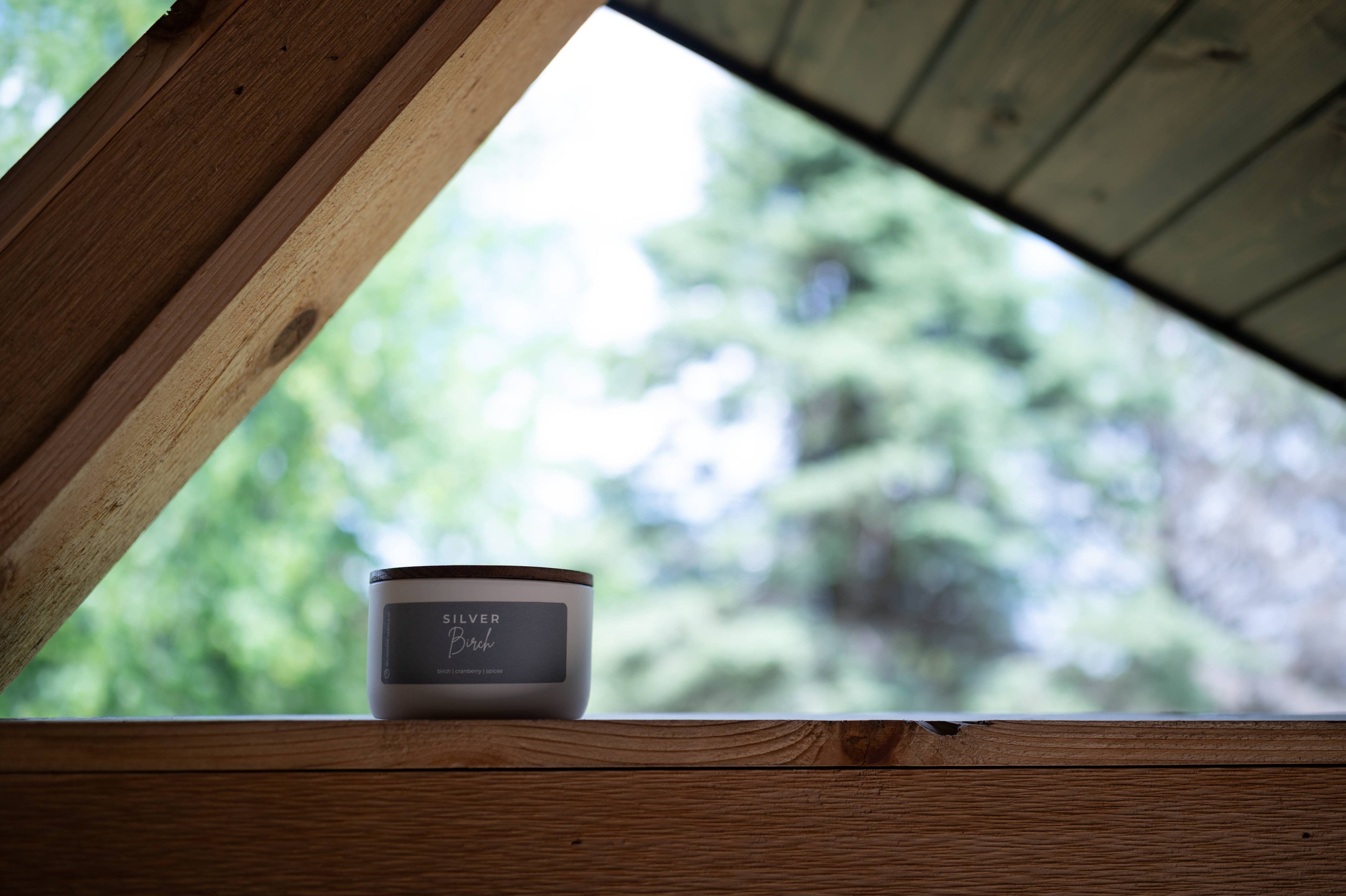 Silver Birch | 10 oz Statement Candle