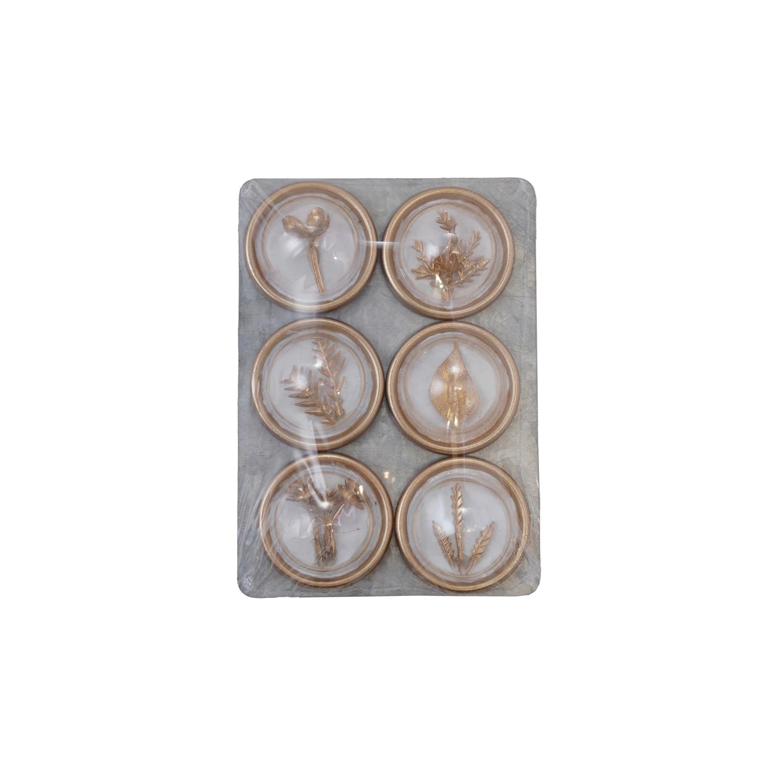 Botanical Magnet Set