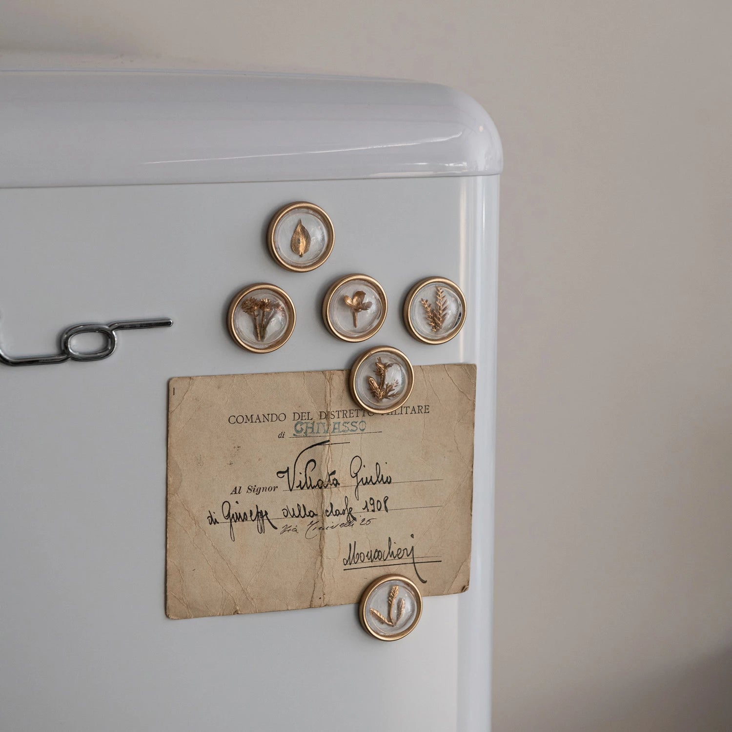 Botanical Magnet Set