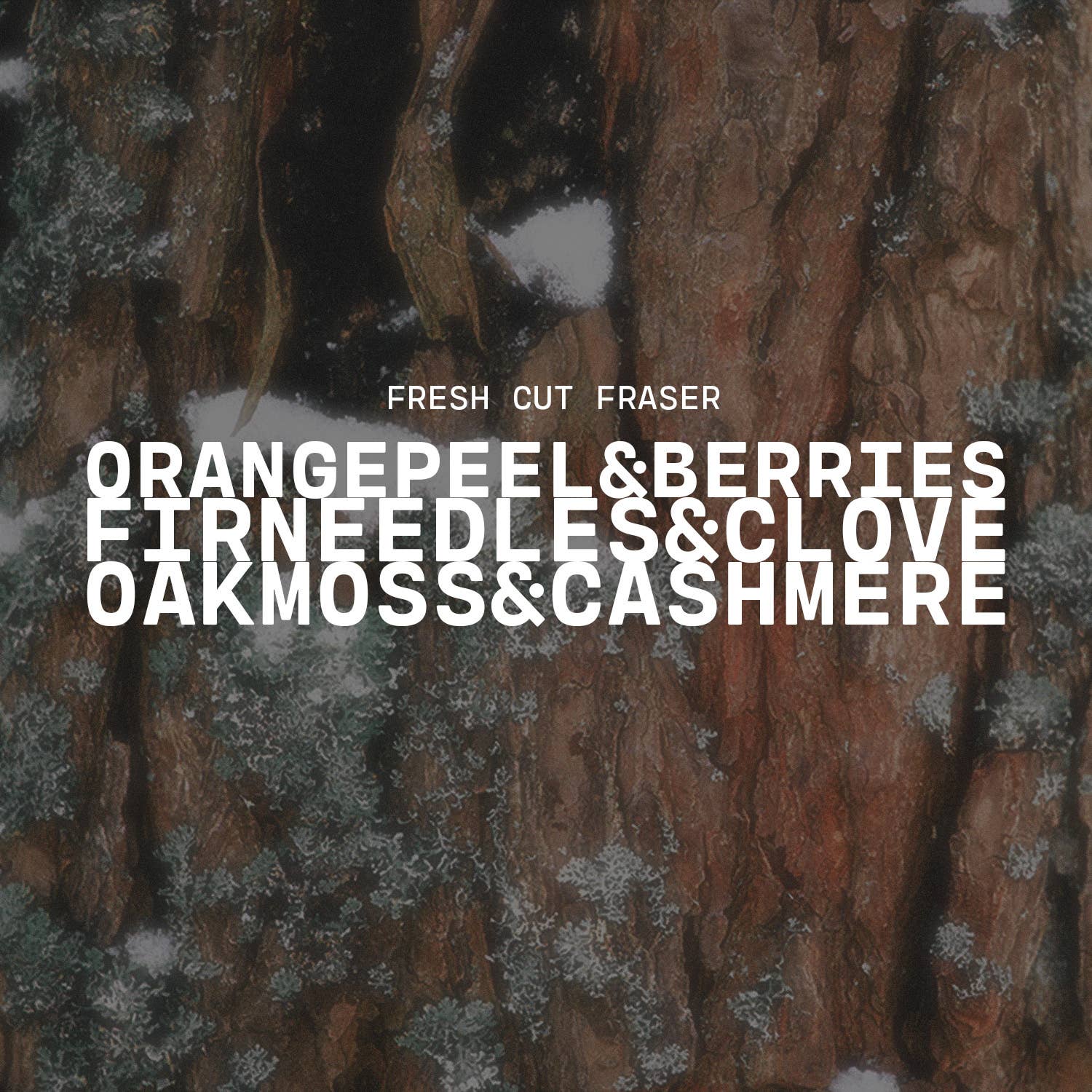 5 oz Cream Jar Candle: Fresh Cut Fraser
