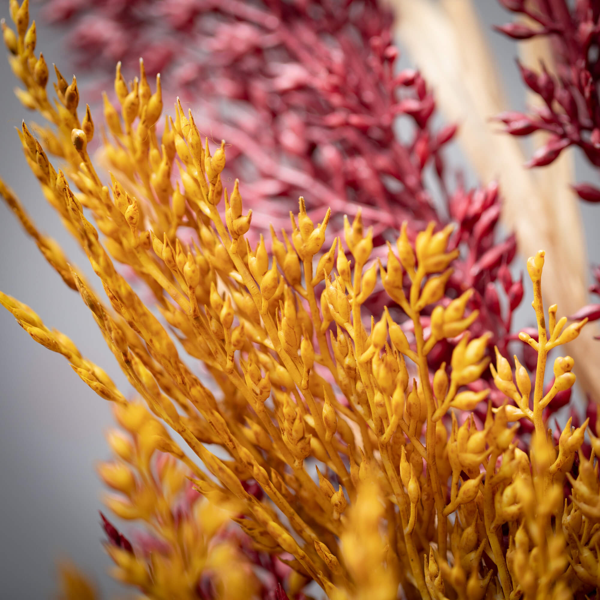 Autumn Heather Stem