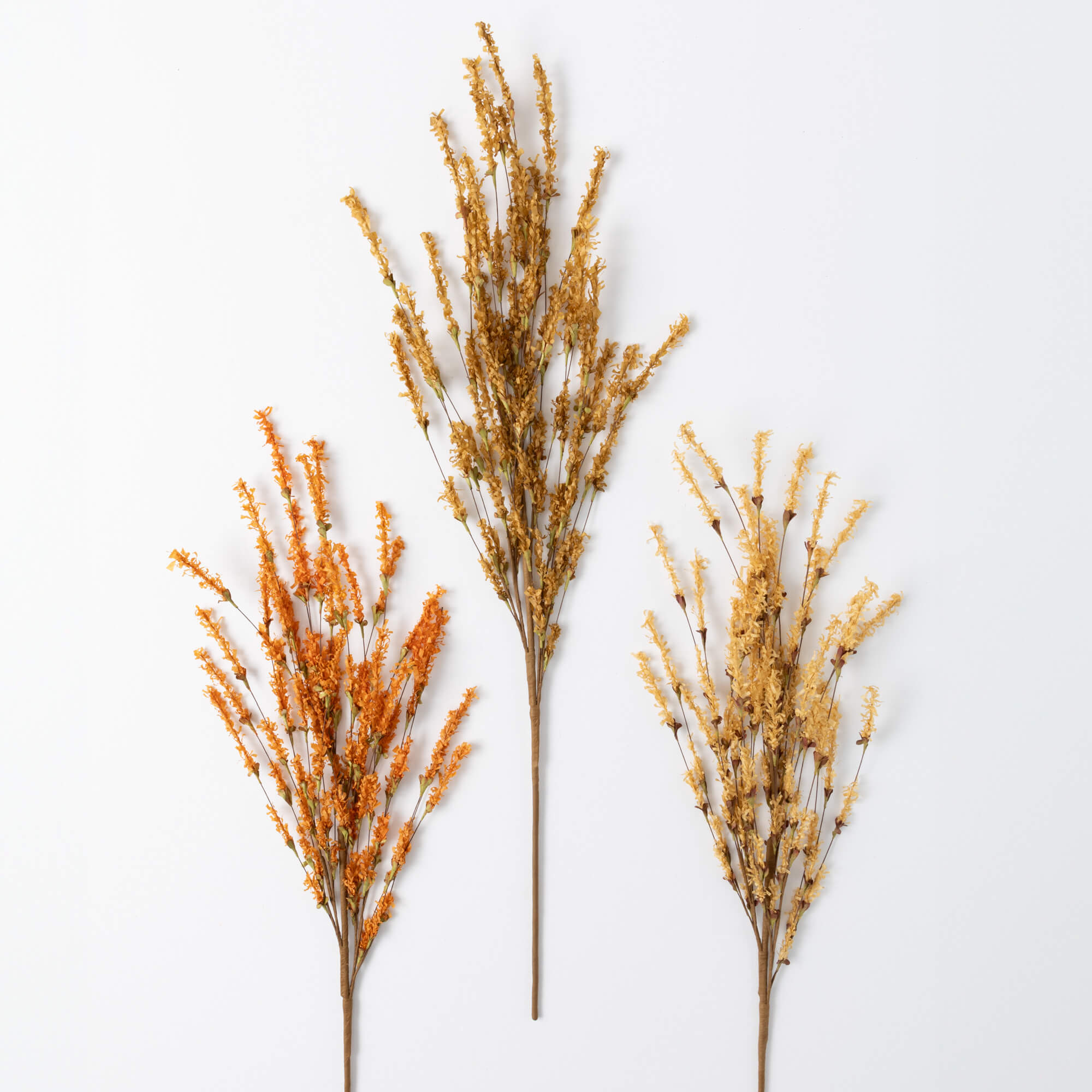 Fall Field Spray