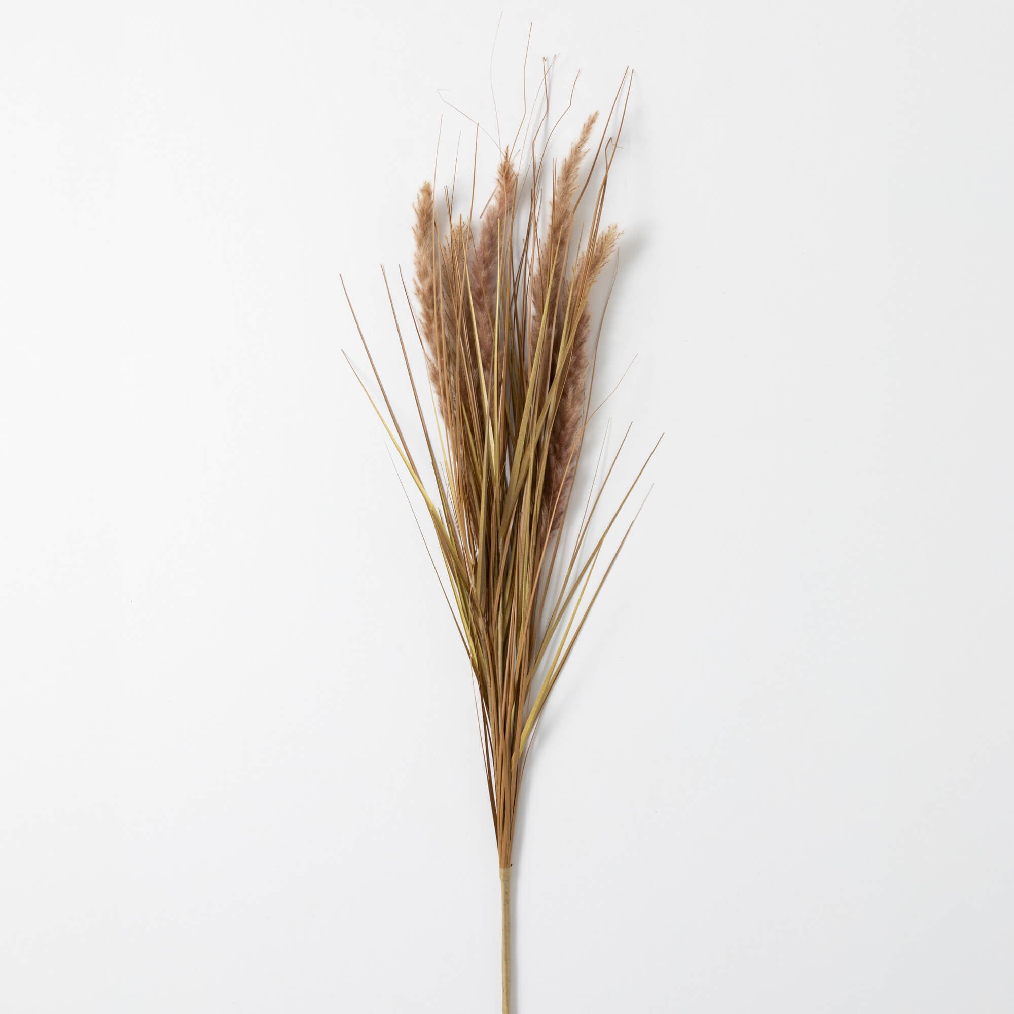 Dried Grass Spray