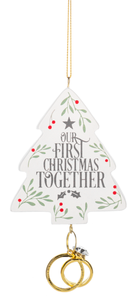 Our First Christmas Together