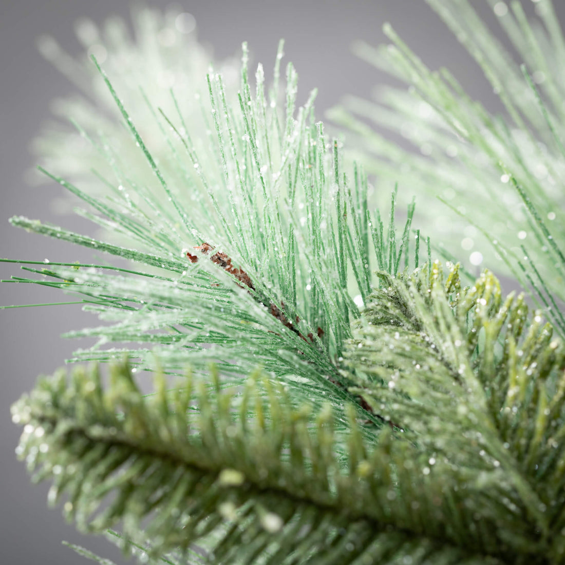 Frosted Pine Spray