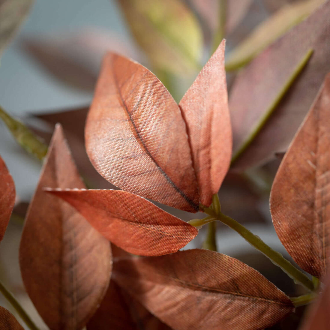 Nandina Leafy Rustic Stem