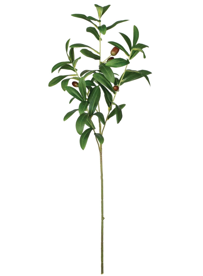 Olive Leaf Spray