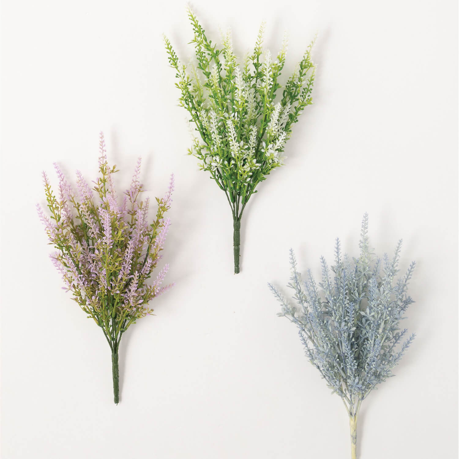 Colored lilac bush