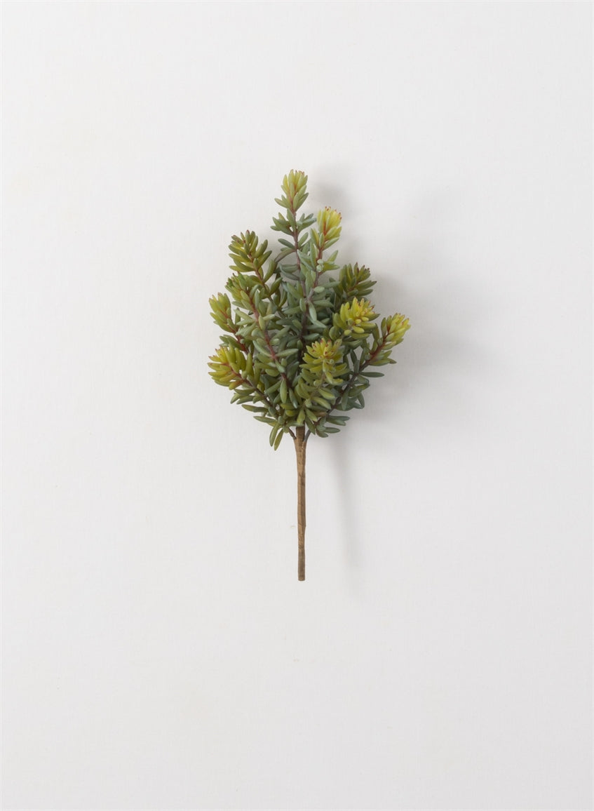 Large succulent Pick
