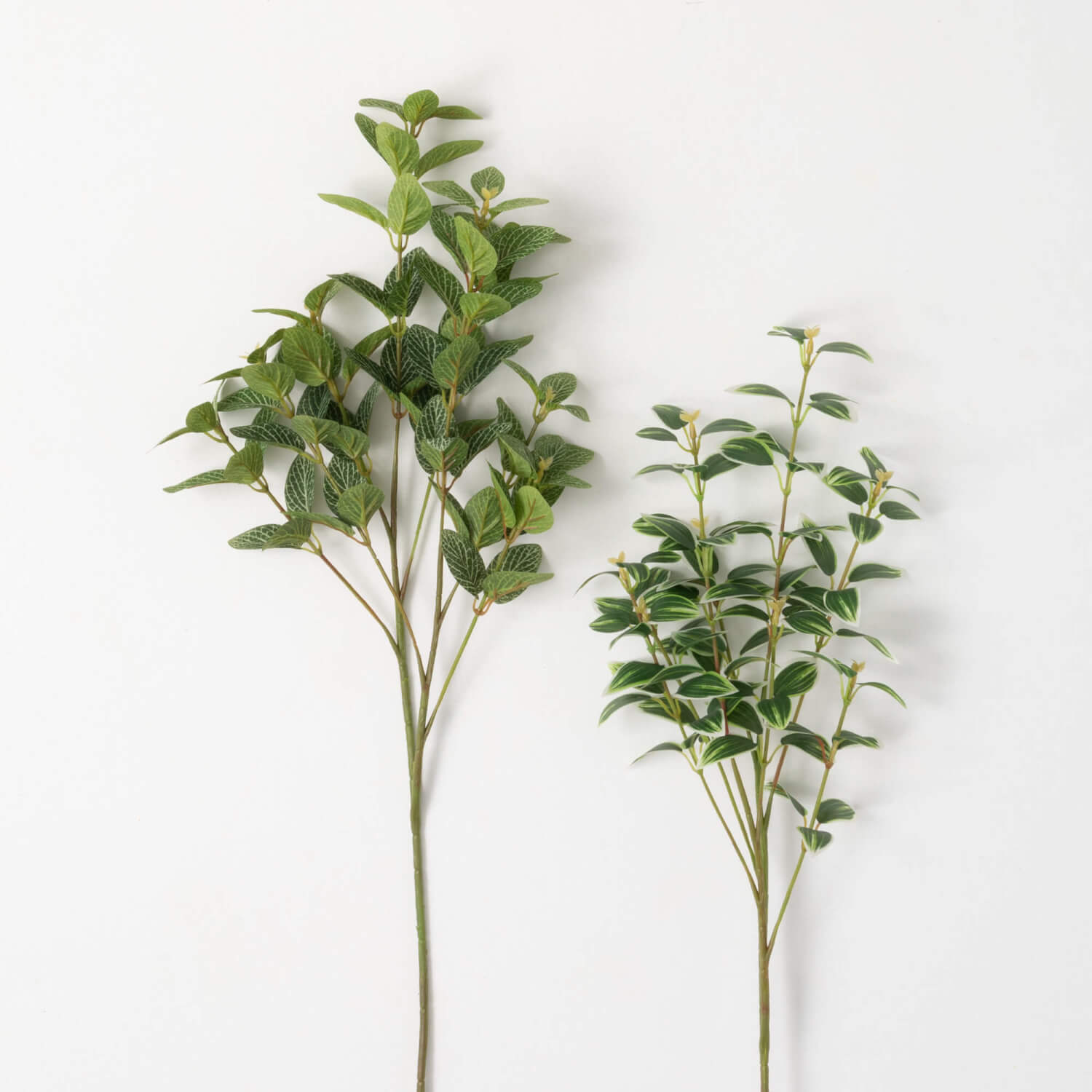 Foliage Stem Bush