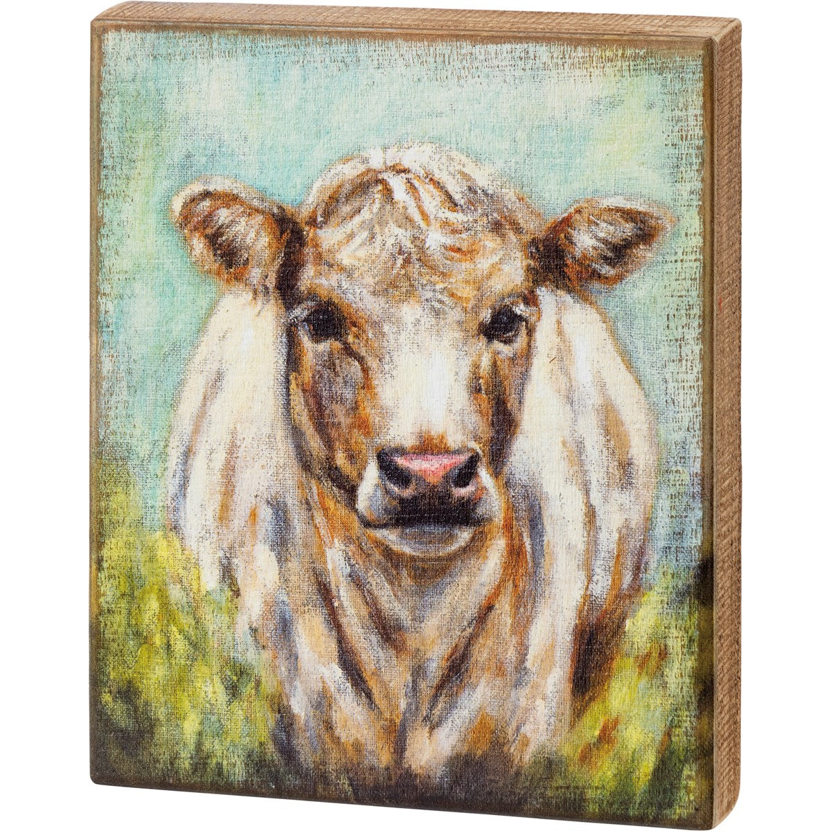 Shaggy Cow