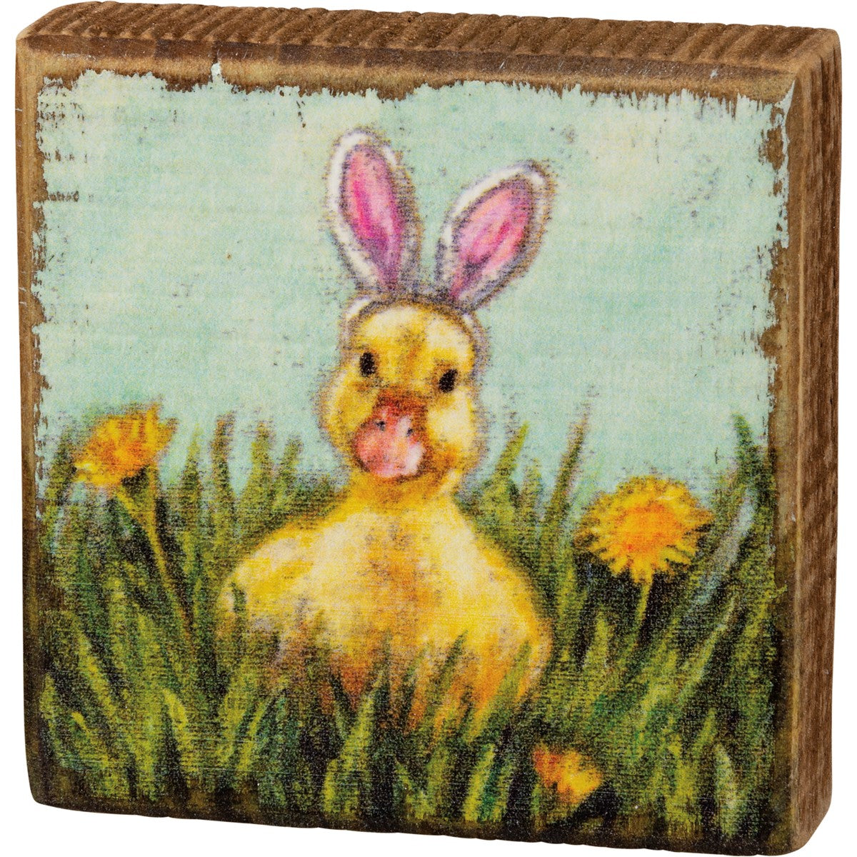 Duck Rabbit Ears Block