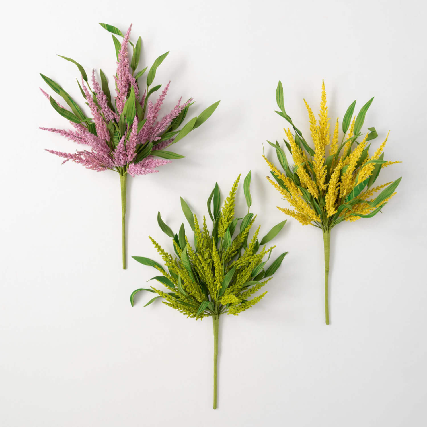 Colorful Spike Bush