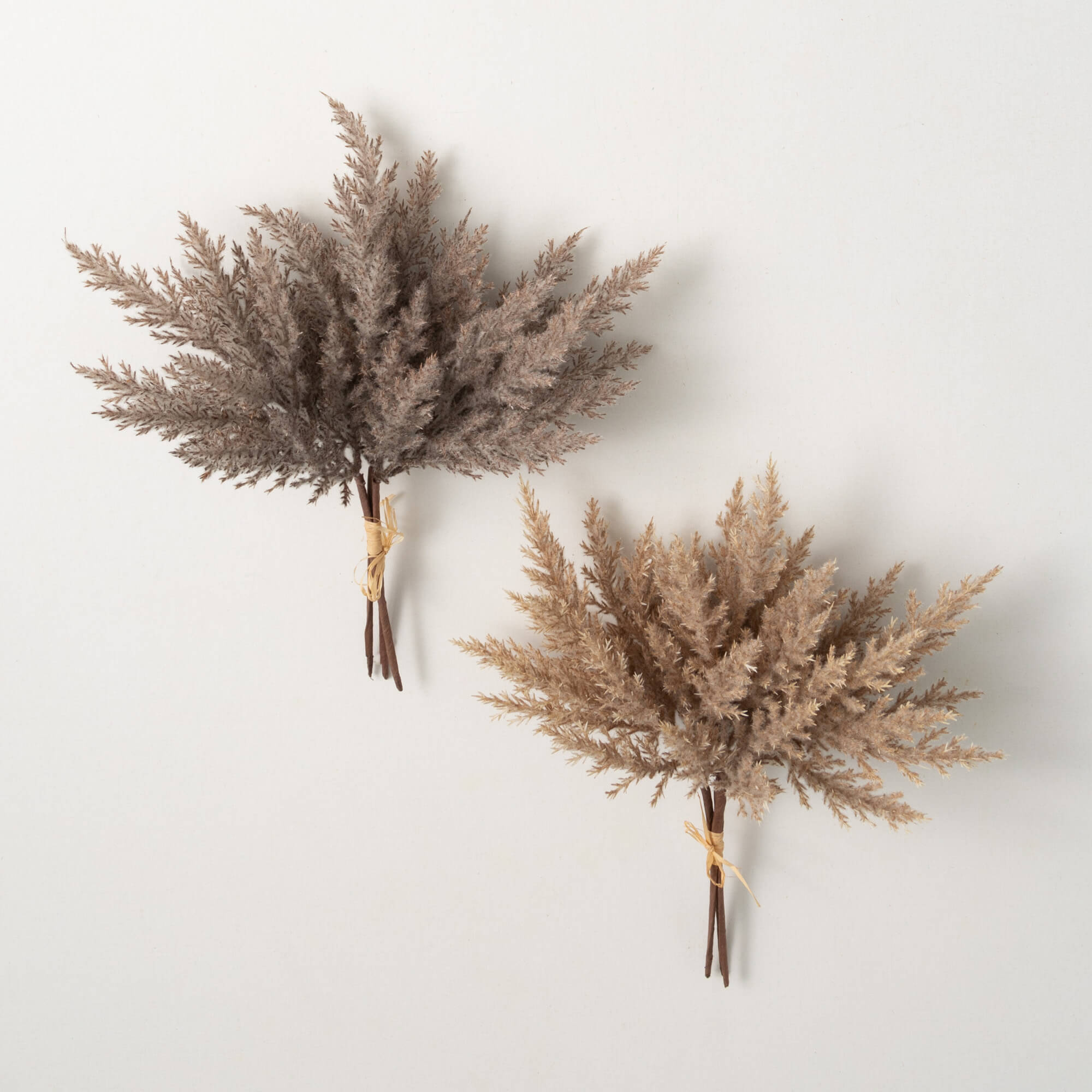 Pampas Grass