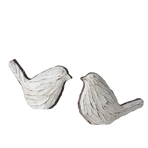 Whitewash Dove