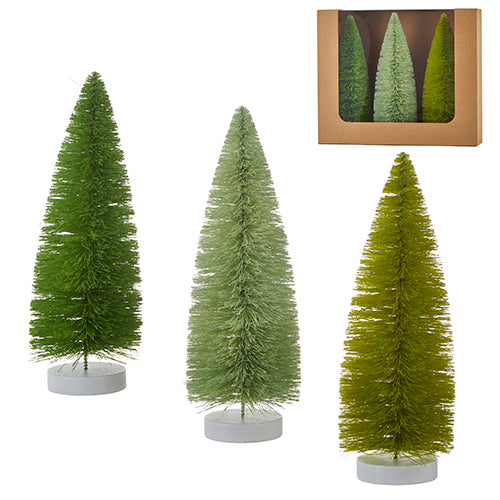 Box of Green Bottle Brush Trees