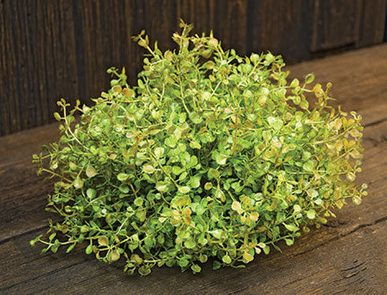 Baby Grass Table Piece