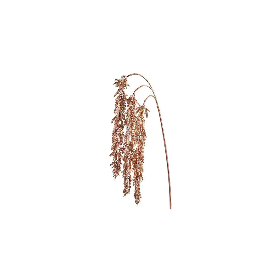 Sedum Hanging Spray