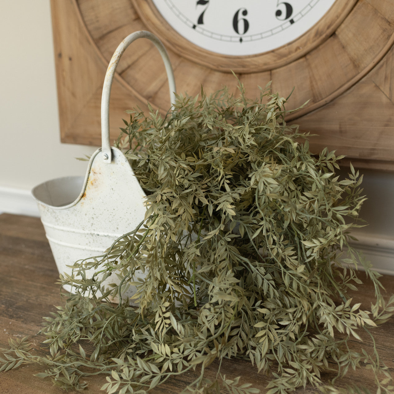 Ficus Hanging Bush