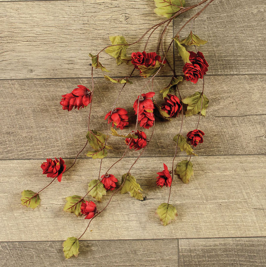 Red Hops Stem