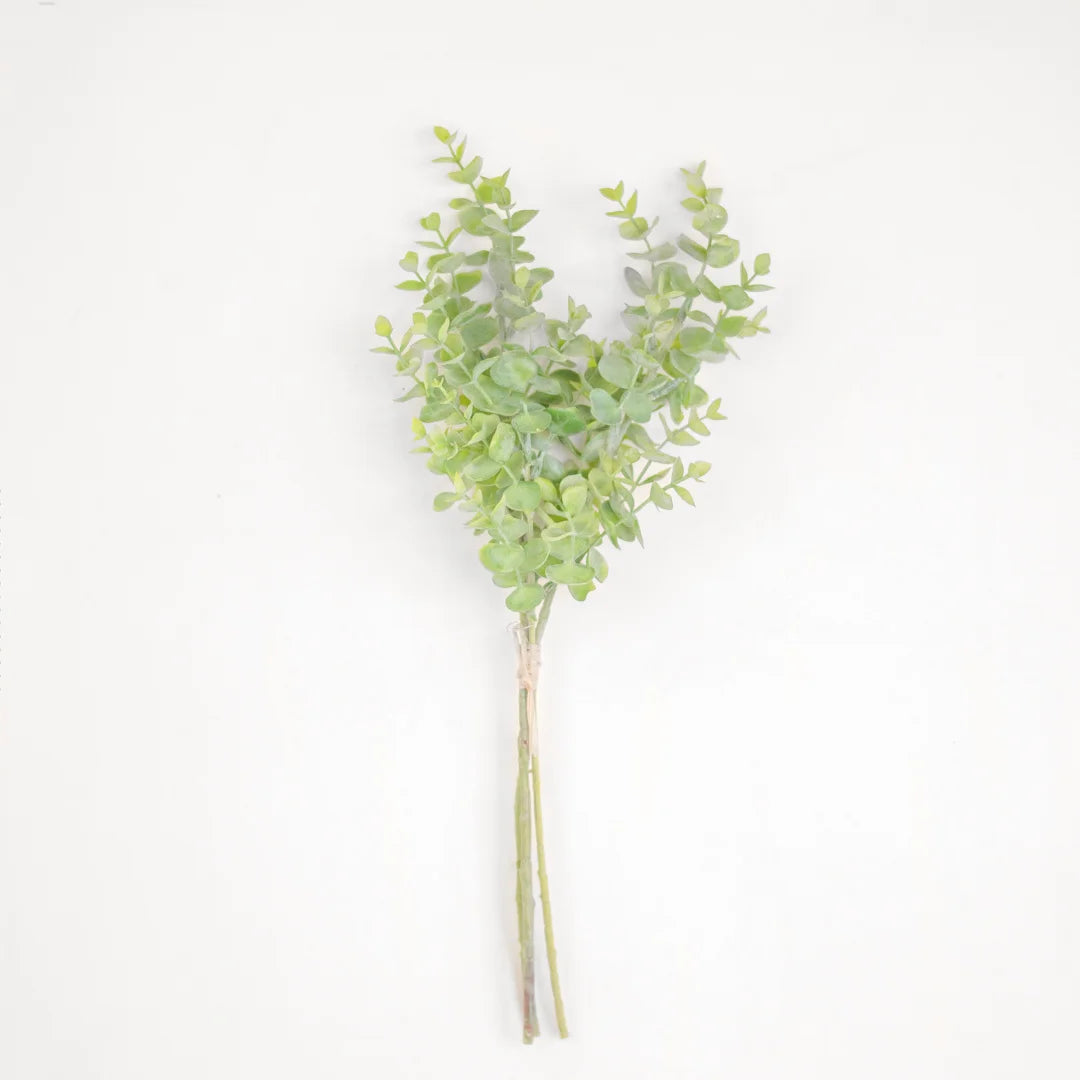 Green Eucalyptus Bush