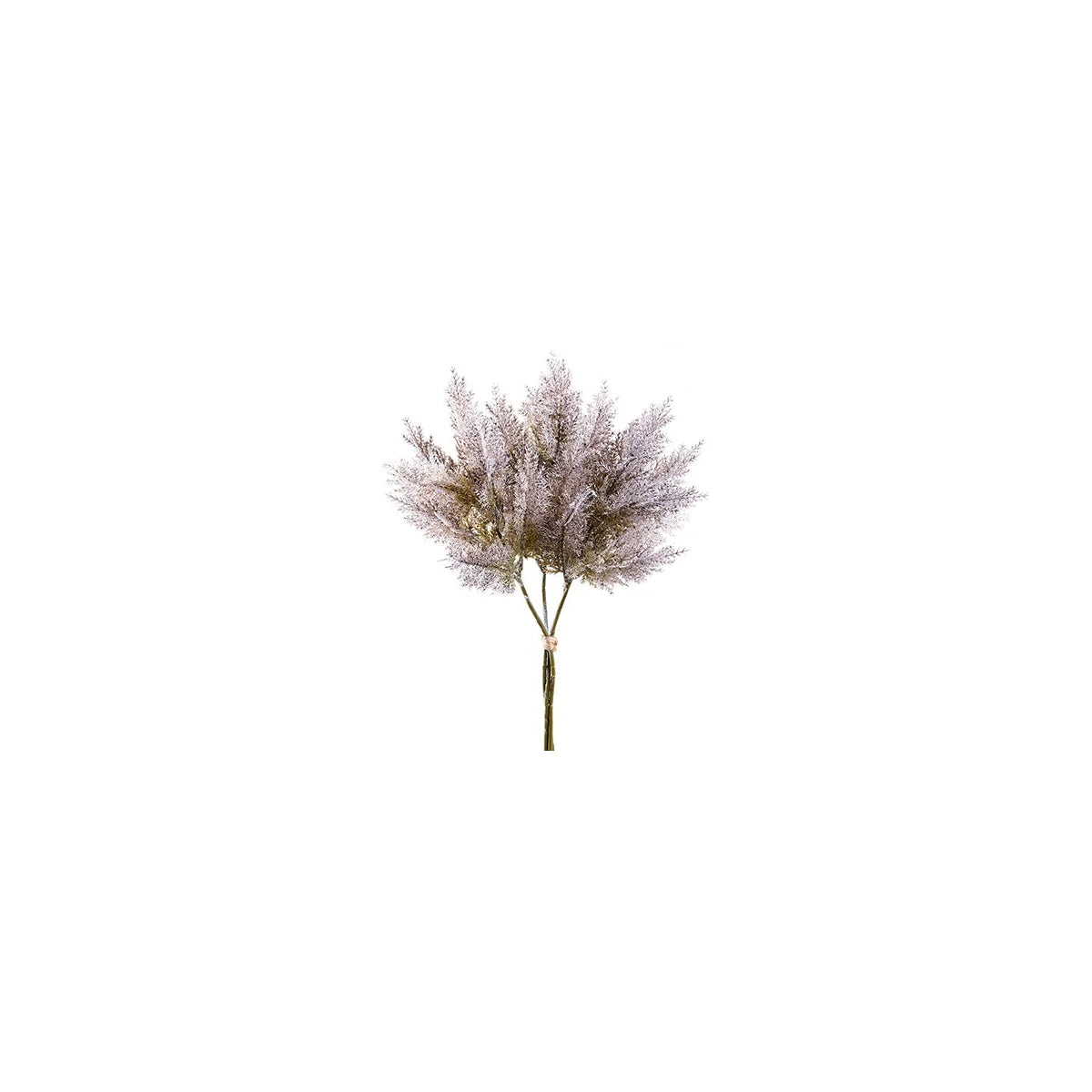 Pampas Grass Grey Bundle