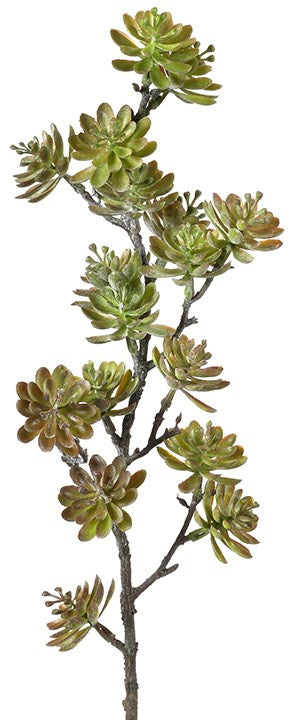 Succulent Spike Spray