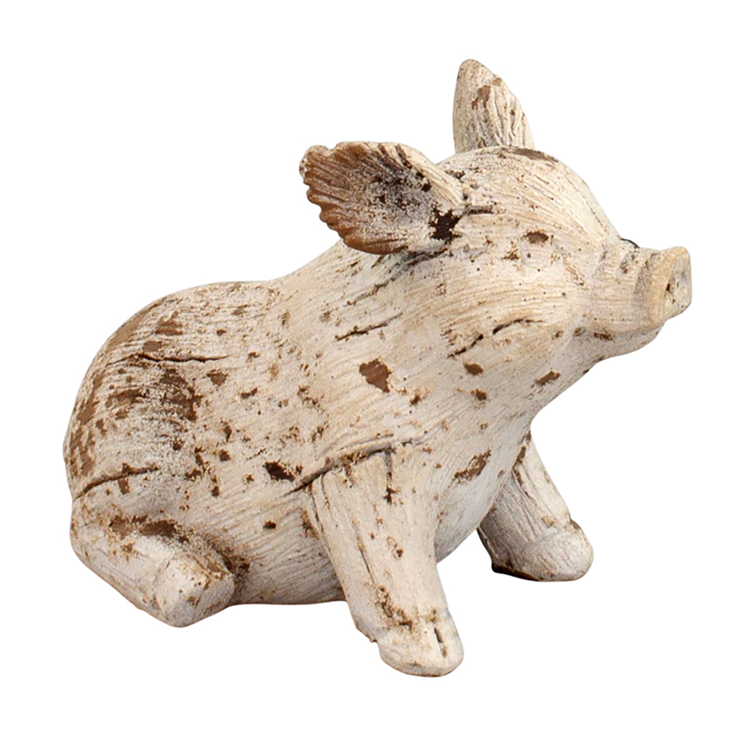 Pig