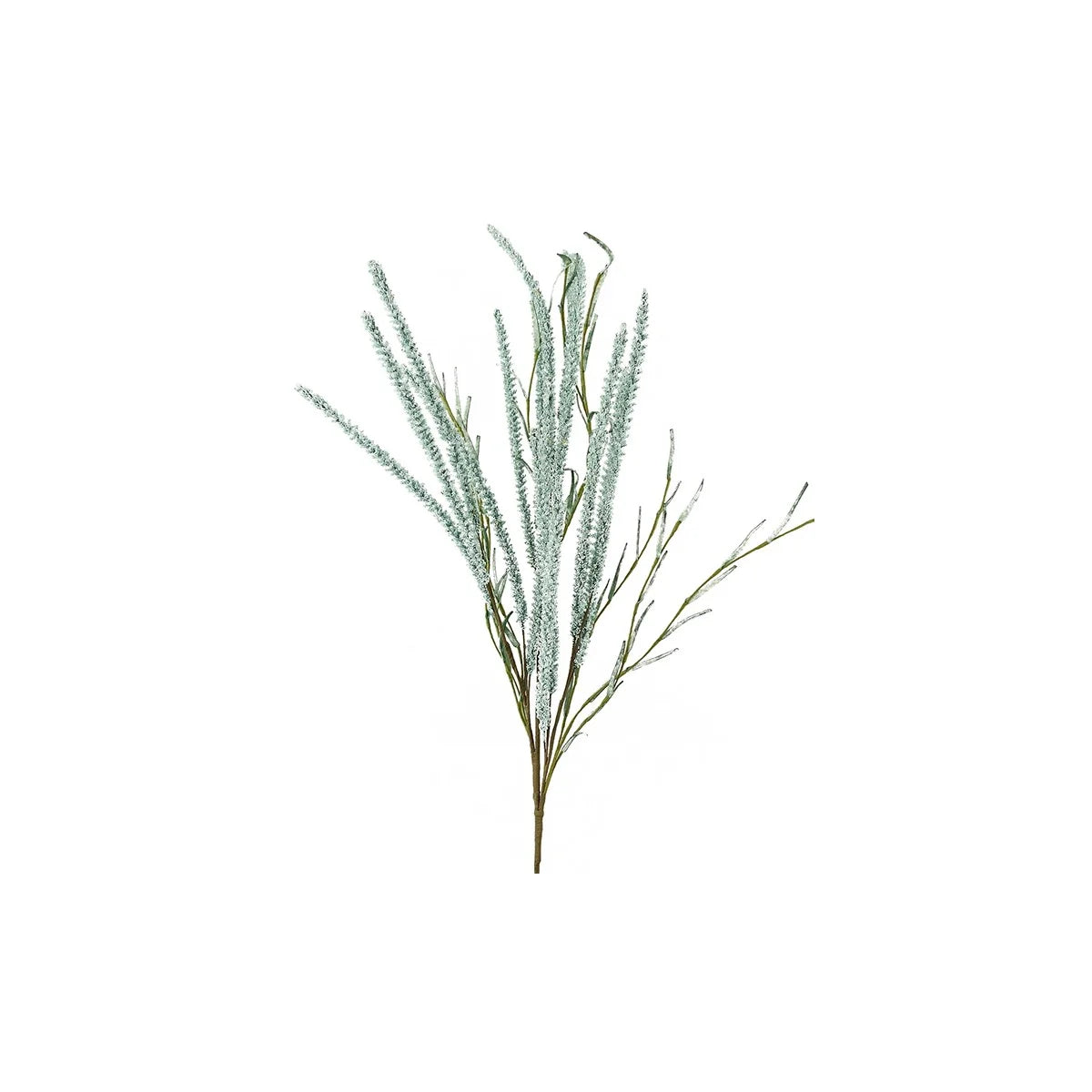 Setaria Spray Blue