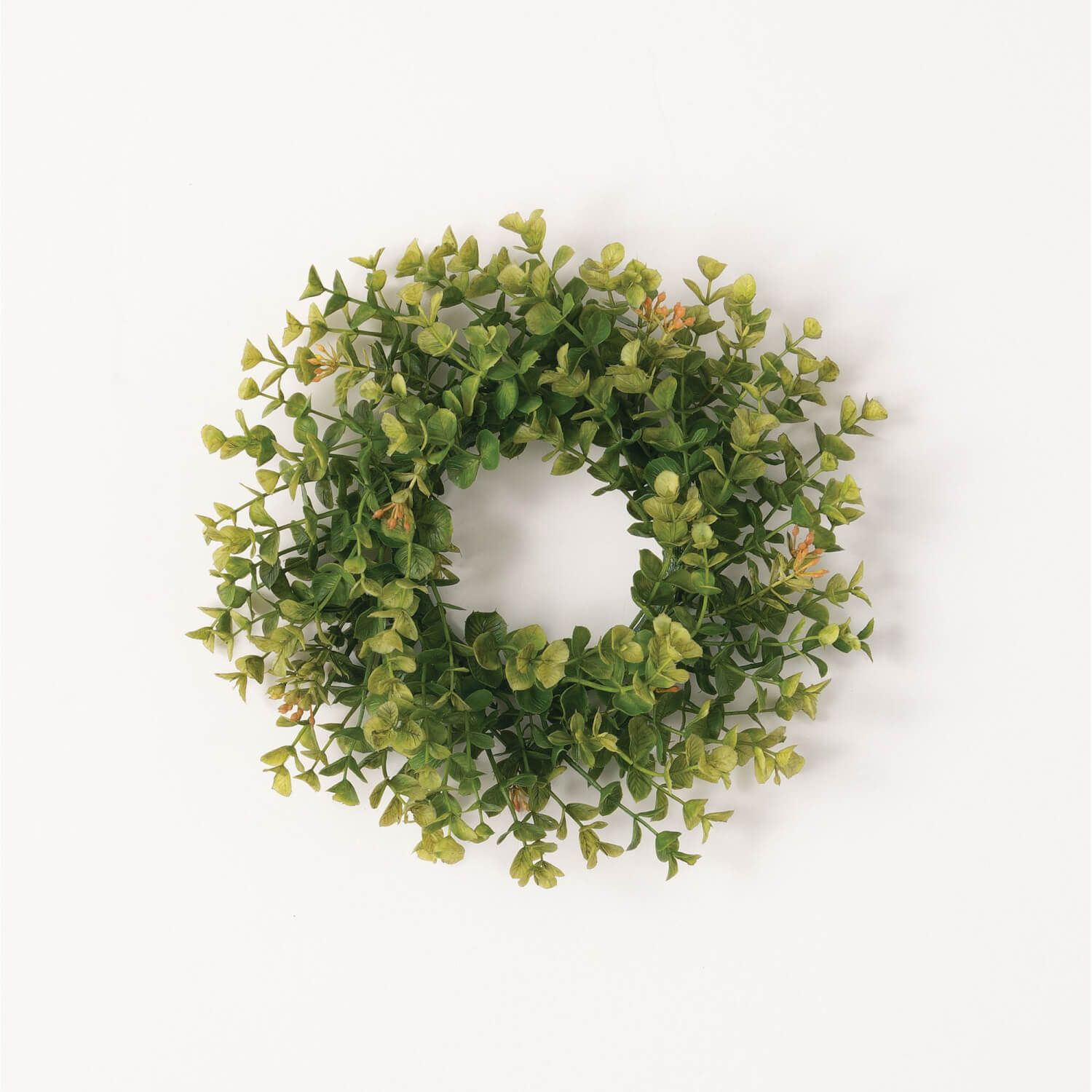 Boxwood wreath